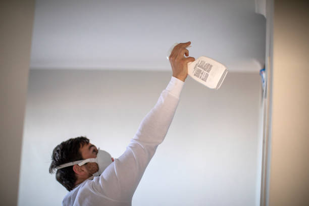 Trusted Salmon Brook, CT Mold Removal Experts