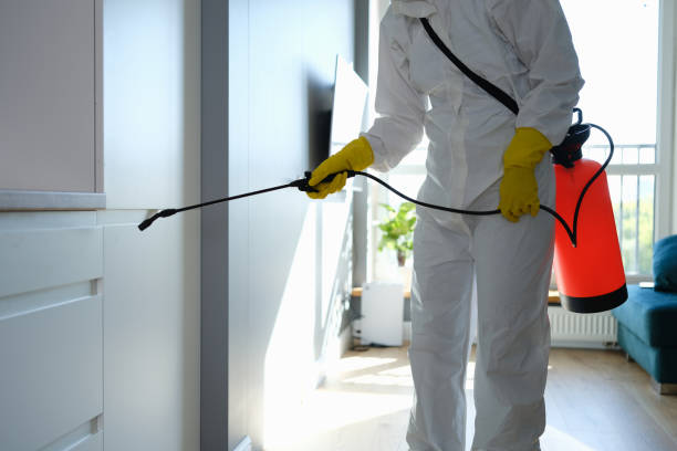 Best Certified Mold Removal  in Salmon Brook, CT