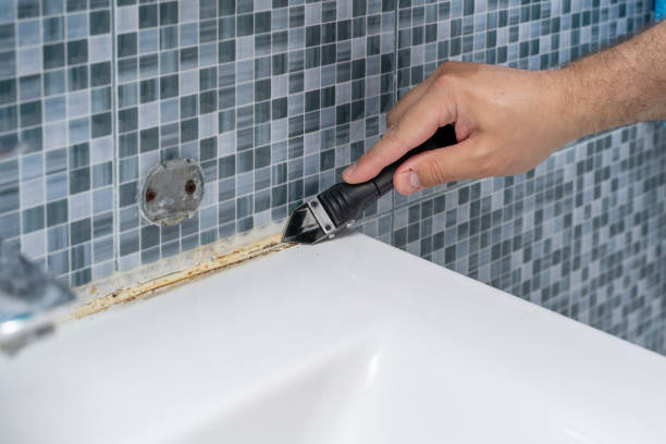 Best Mold Removal Company Near Me  in Salmon Brook, CT